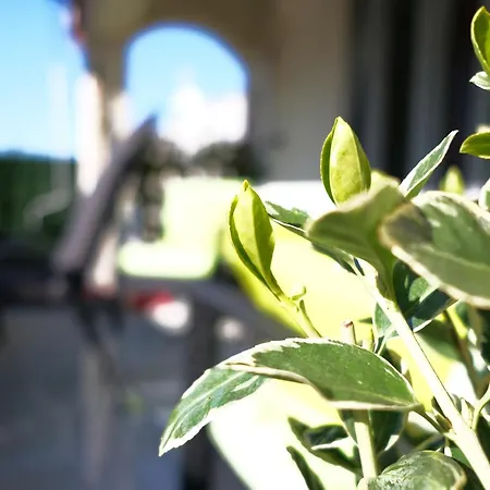 Ap Silvija Apartament *