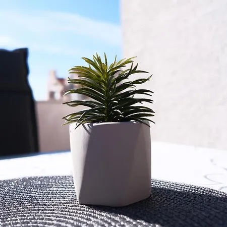 Ap Silvija ザダル