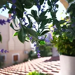 Ap Silvija זאדאר